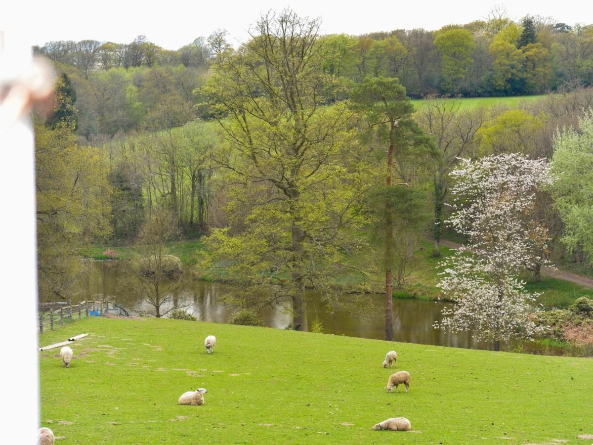 Twyford Farm B&B Haywards Heath Εξωτερικό φωτογραφία